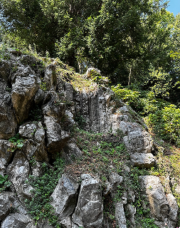 A rock outcrop overgrown with ivy, its ledges shaped roughly like a seat.